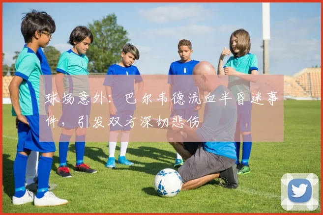 球场意外：巴尔韦德流血半昏迷事件，引发双方深切悲伤
